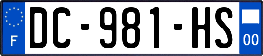 DC-981-HS