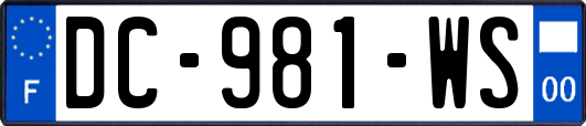 DC-981-WS
