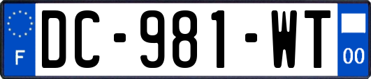DC-981-WT
