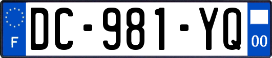 DC-981-YQ