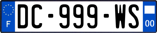 DC-999-WS