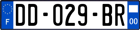 DD-029-BR