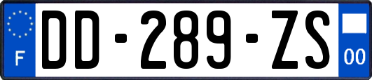 DD-289-ZS