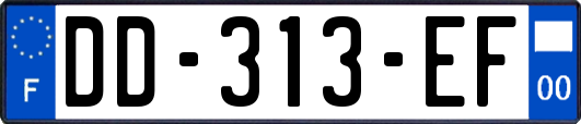 DD-313-EF