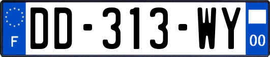 DD-313-WY