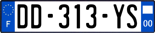 DD-313-YS