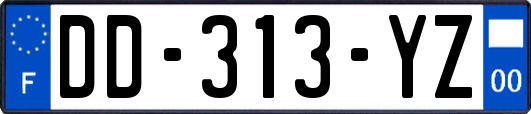 DD-313-YZ