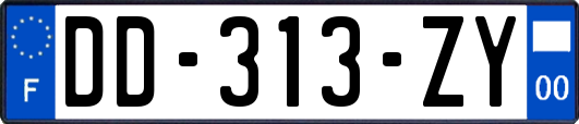 DD-313-ZY