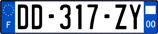 DD-317-ZY