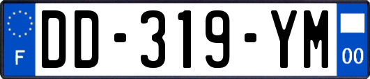 DD-319-YM