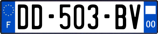 DD-503-BV