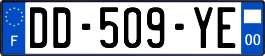 DD-509-YE