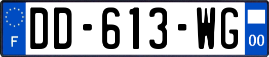DD-613-WG