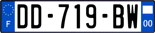 DD-719-BW