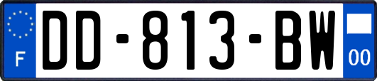 DD-813-BW