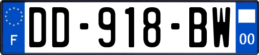 DD-918-BW