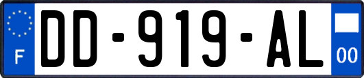 DD-919-AL