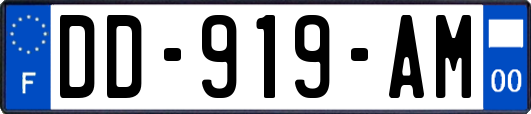 DD-919-AM