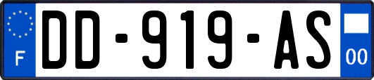 DD-919-AS