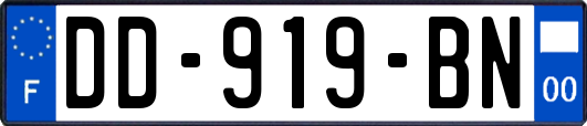 DD-919-BN