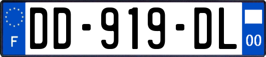 DD-919-DL