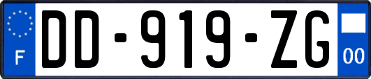 DD-919-ZG