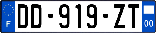 DD-919-ZT
