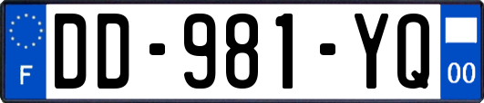 DD-981-YQ