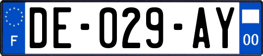 DE-029-AY