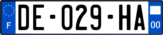 DE-029-HA