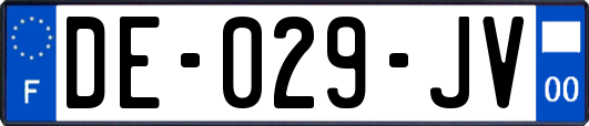 DE-029-JV