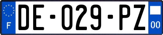 DE-029-PZ