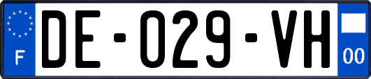 DE-029-VH