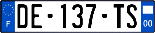 DE-137-TS