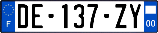 DE-137-ZY