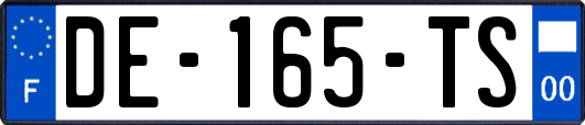 DE-165-TS