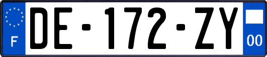 DE-172-ZY