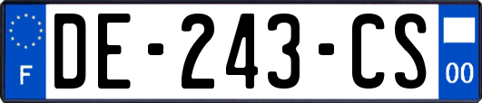 DE-243-CS