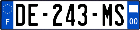 DE-243-MS