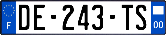 DE-243-TS