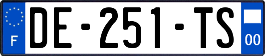 DE-251-TS