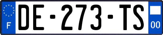 DE-273-TS