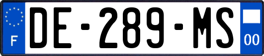 DE-289-MS