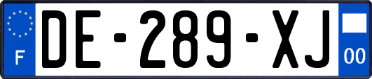 DE-289-XJ