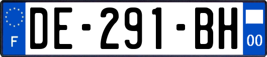 DE-291-BH