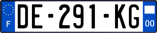 DE-291-KG