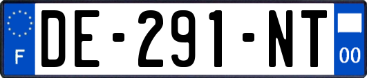 DE-291-NT