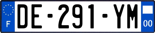 DE-291-YM