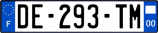 DE-293-TM