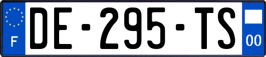 DE-295-TS